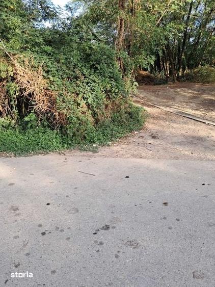 Teren de 5600 mp, în Drăguțești