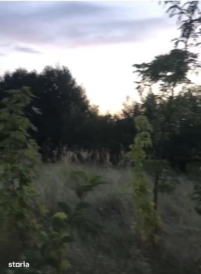 Teren de 1500 mp, în Central