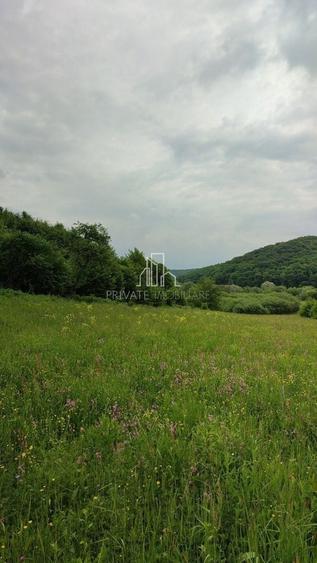 Teren agricol extravilan de 20 mp, în Daneș