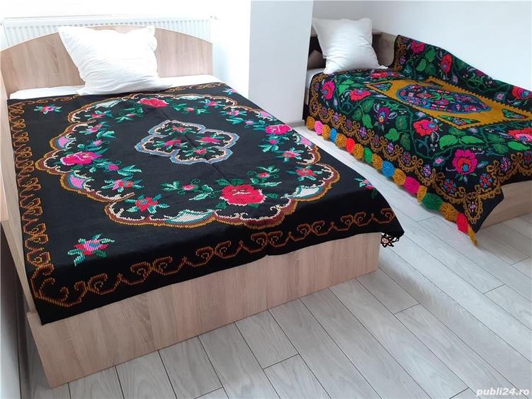 Casă cu 2 camere în Cârțișoara