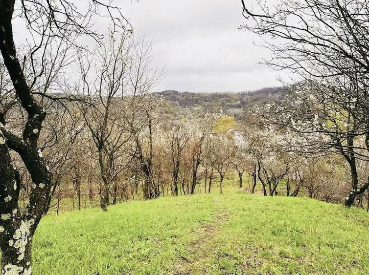 Vand teren intravilan, zona de munte superba!