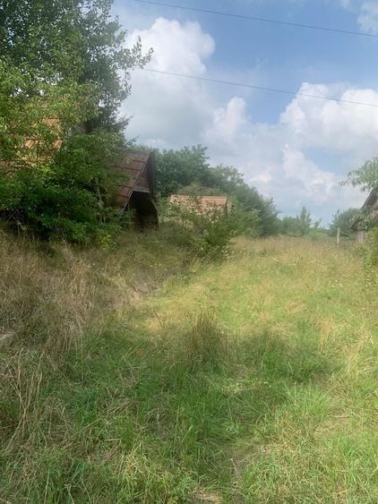 Teren de 7500 mp, în Siret