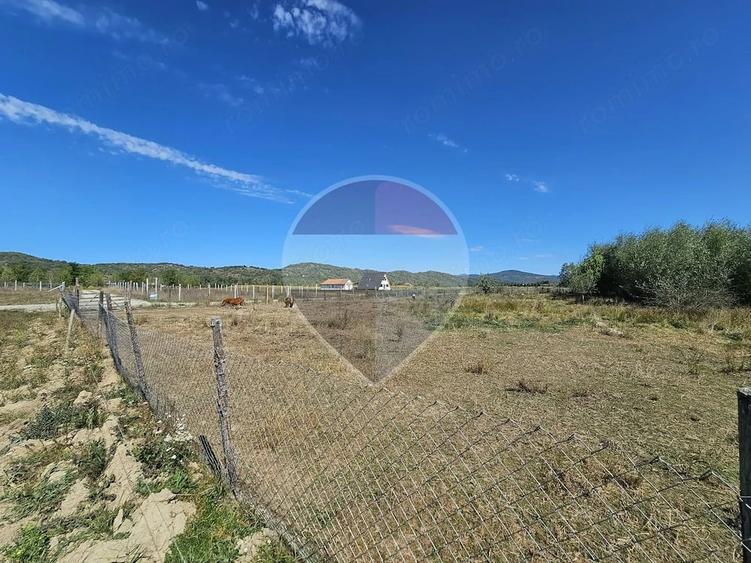 Teren de 3000 mp, în Câmpulung la Tisa