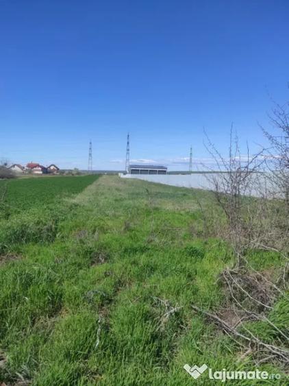 Teren extravilan 5000 mp, Albesti - 1