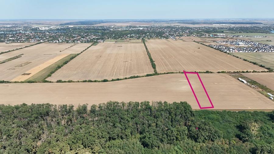 Teren Construcții intravilan de 7254 mp, în Buftea