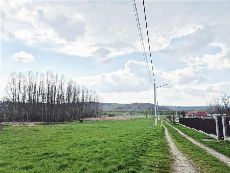 Teren agricol extravilan de 5132 mp, în Nord