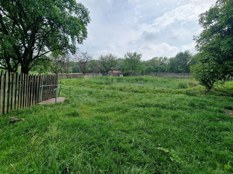 Casă individuală cu 3 camere cu Teren 9603 Mp în Topolița