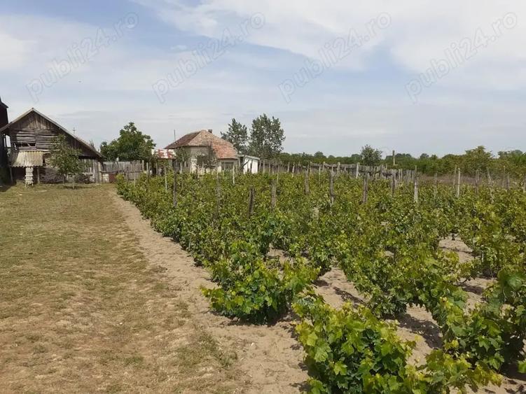 Casă cu 6 camere în Ostroveni