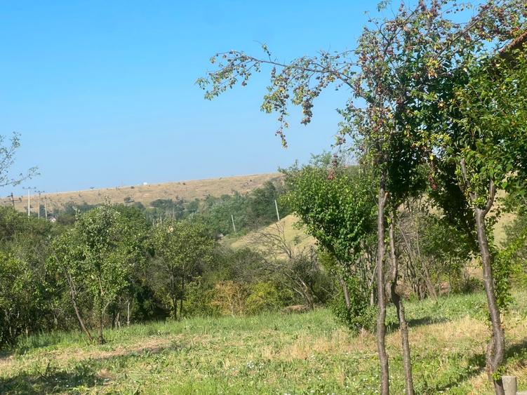 Teren Construcții intravilan de 1486 mp, în Valea Mare
