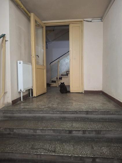 vanzare 3 camere Petre Ispirescu - 6