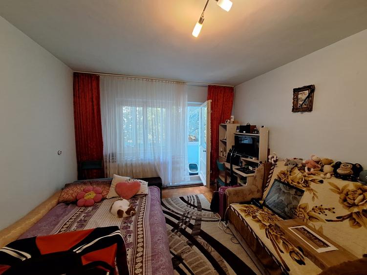 Apartament cu 2 camere decomandat, mobilat în Lipovei