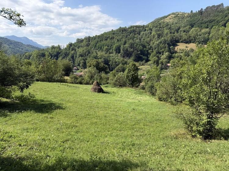 Teren intravilan 4.128 mp Ocolis Alba priveliste superba curent la proprietate - 5