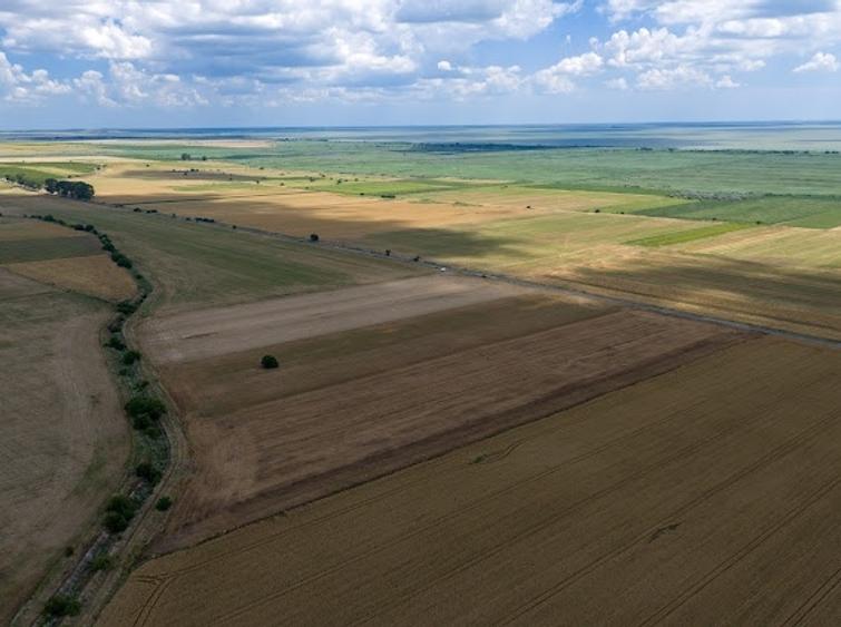Teren agricol extravilan de 30000 mp, în Valea Nucarilor