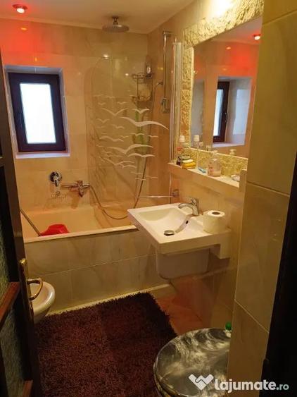 Apartament 3 camere C.R.Vivu - 9