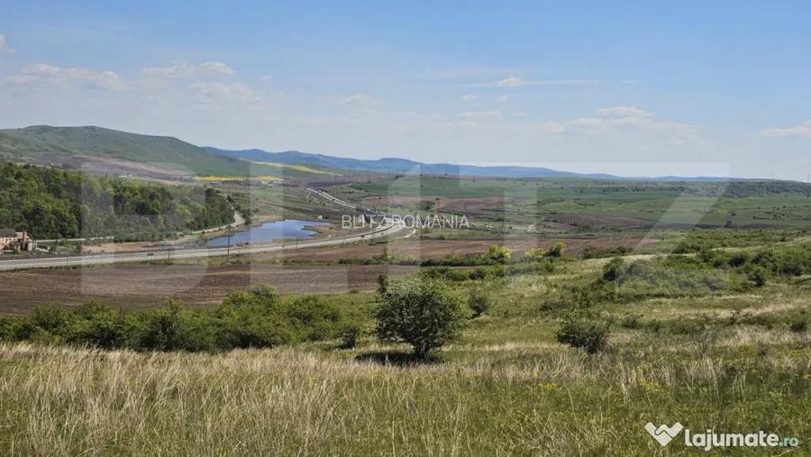 Teren extravilan 6 ha, Stejeris, com Moldovenesti - Moldovenesti (Cluj)