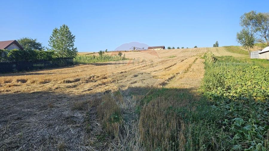 Teren Construcții intravilan de 7500 mp, în Moara Carp