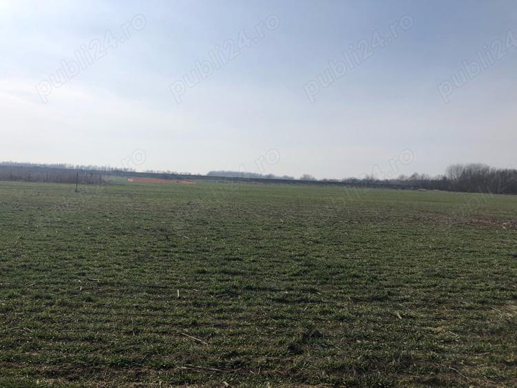 Teren de 622 mp, în Clinceni