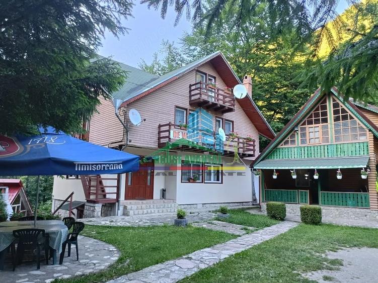 Spațiu comercial, de 450 mp, în Lepșa