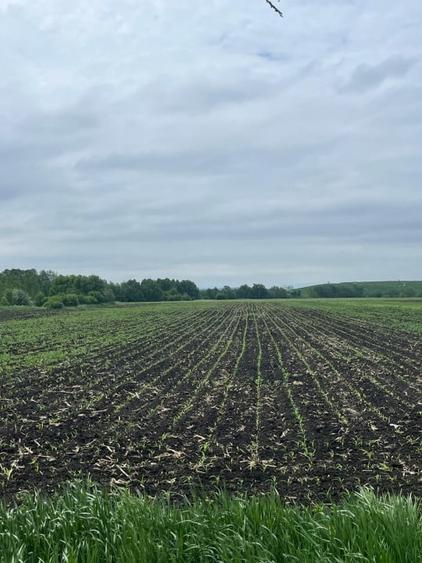 Teren agricol extravilan de 3750 mp, în Exterior Nord