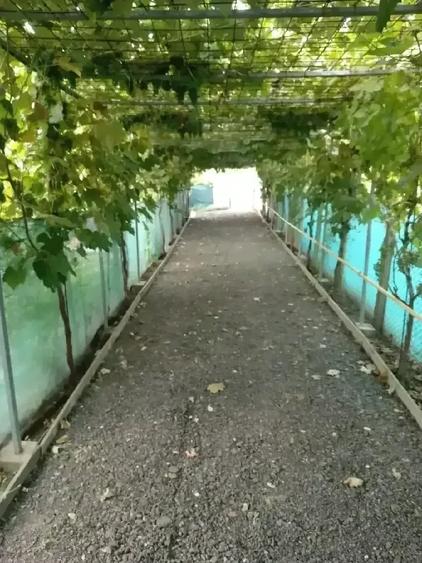 Casă cu 3 camere cu Teren 1115 Mp în Poarta Albă
