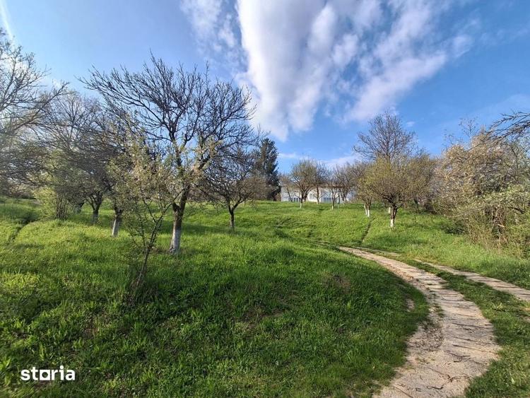 Casă cu 5 camere cu Teren 5950 Mp în Scorțeni