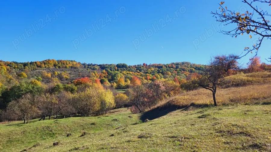 Campulung, terenuri Grui, Flamanda, Valea Romanestilor si Schitu Golesti-proprietar - 10