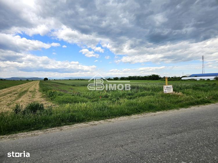 Teren de 2500 mp, în Brazi