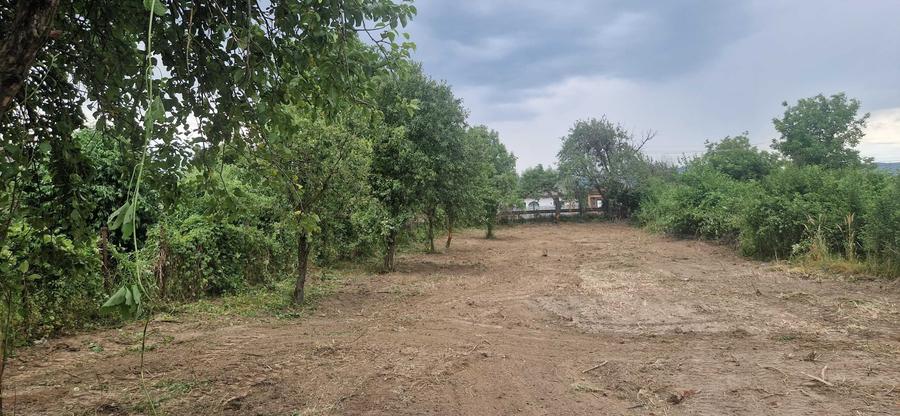 Teren de 2000 mp, în Gioseni