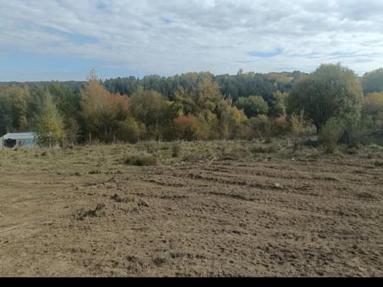 Teren extravilan de 1424 mp, în Central