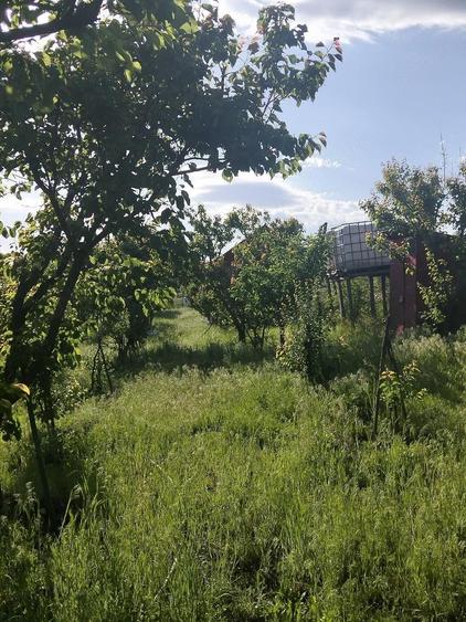 Teren de 1600 mp, în Potoceni
