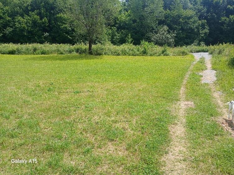 Teren de 1500 mp, în Săcădat
