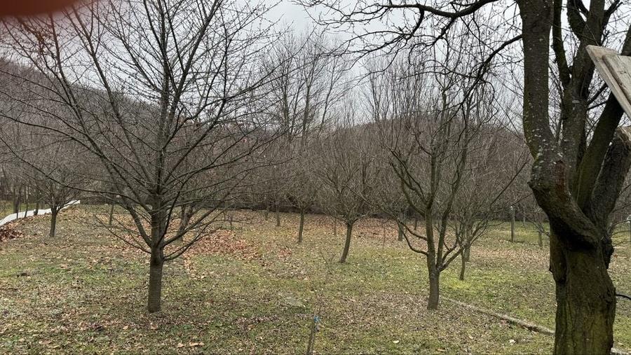 Casă cu 4 camere în Bucșani