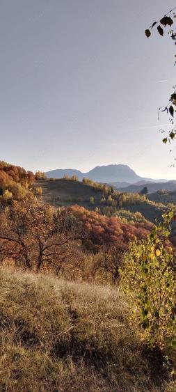 Teren de 3760 mp, în Poiana Mărului