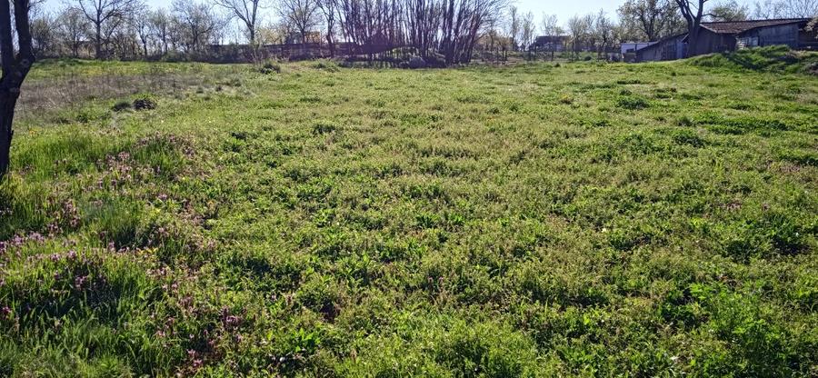Teren agricol intravilan de 1810 mp, în Hezeriș