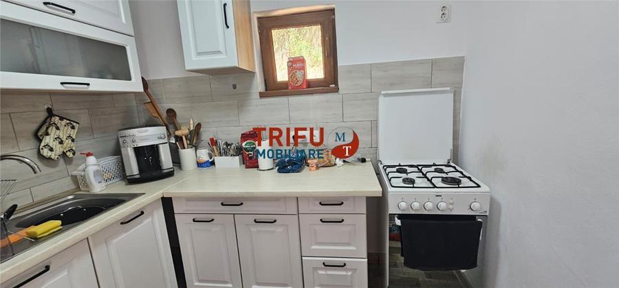 Casă individuală cu 5 camere cu Teren 1245 Mp în Întregalde