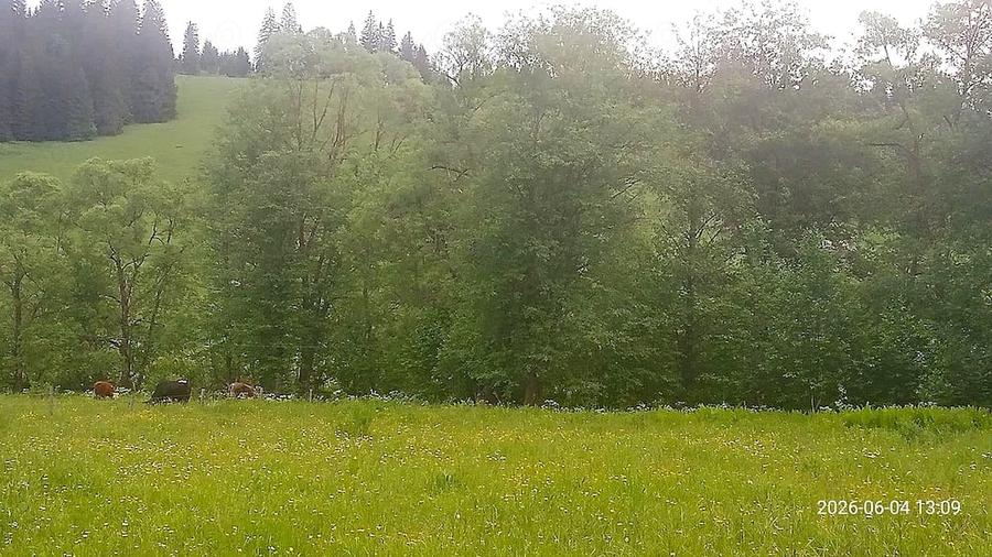 Teren de 500 mp, în Central