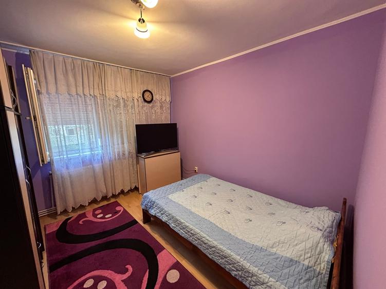 Apartament cu 3 camere semidecomandat în Viziru 1
