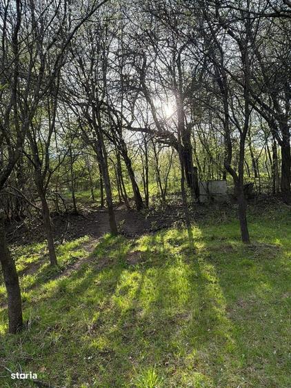 Teren de 1013 mp, în Cisnădioara