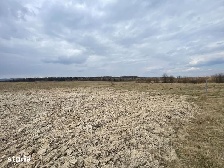 Teren de 2300 mp, în Central