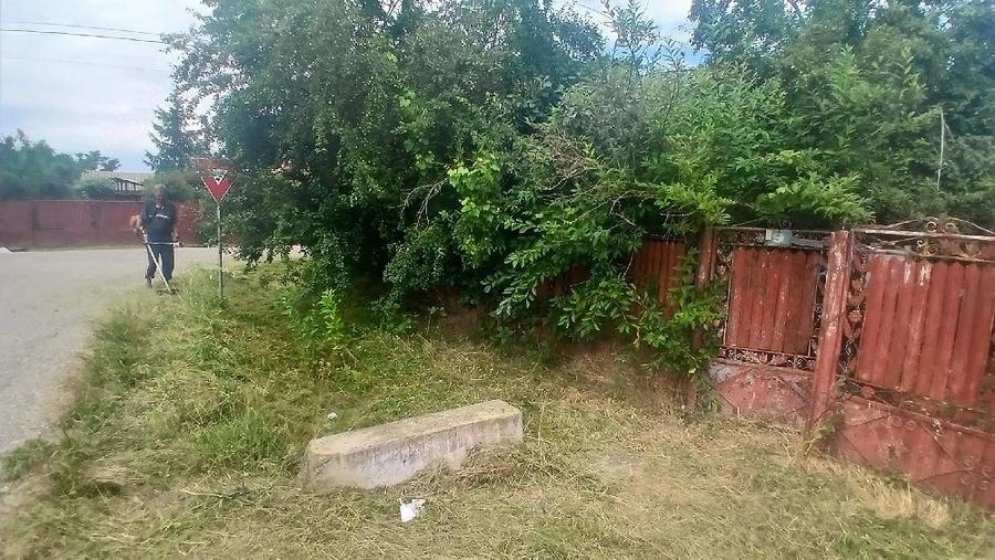 Teren de 1500 mp, în Piorești
