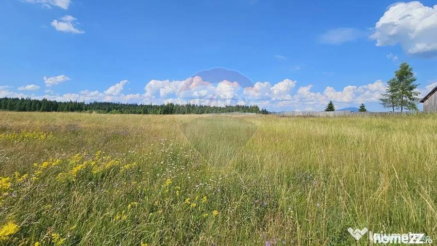 Teren de 30930 mp, în Poiana Stampei
