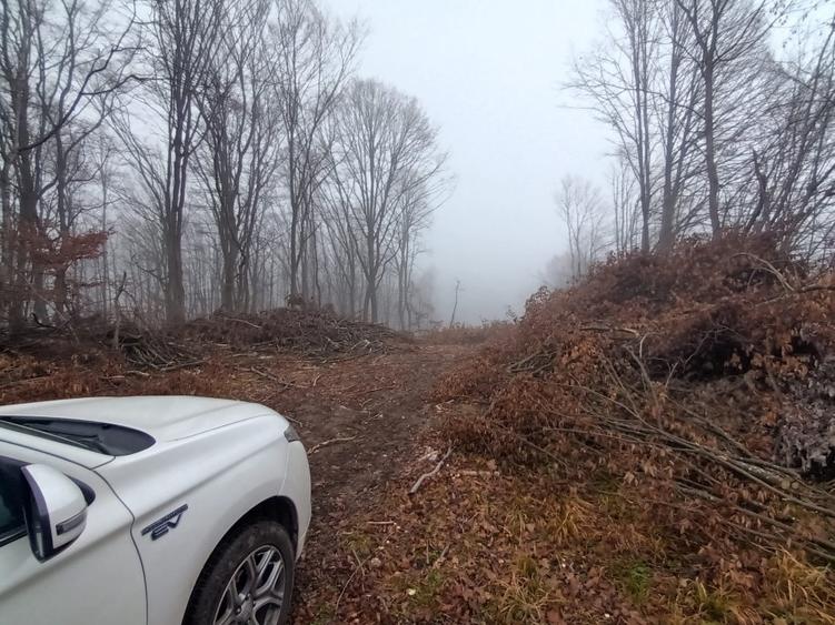Teren intravilan de 3186 mp, în Certeju de Sus