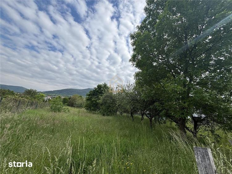 Teren de 3700 mp, în Valea Borcutului
