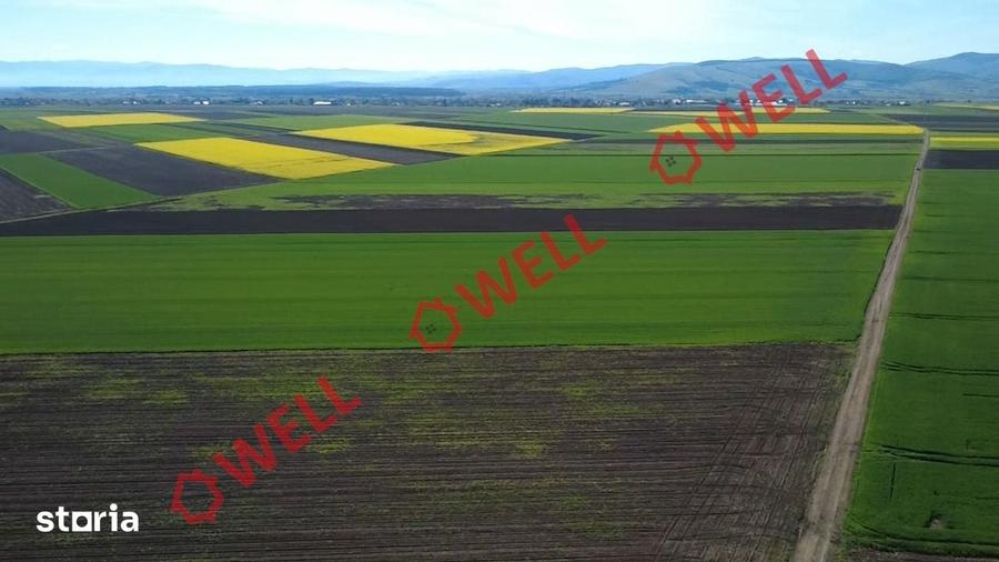 Teren de 68800 mp, în Ozun