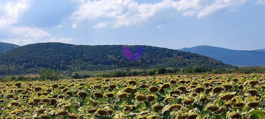 Teren agricol extravilan de 900 mp, în Poplaca