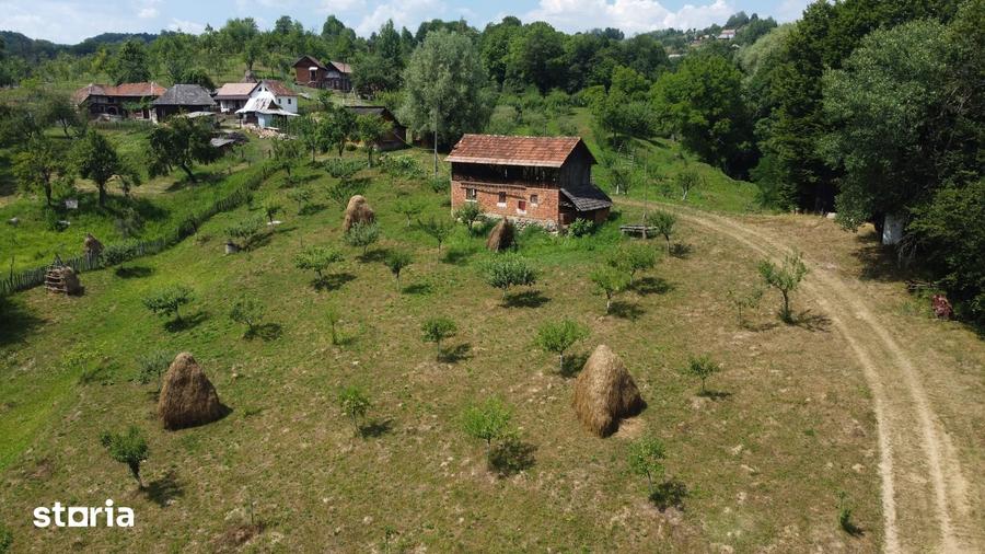Teren de 6200 mp, în Cicănești