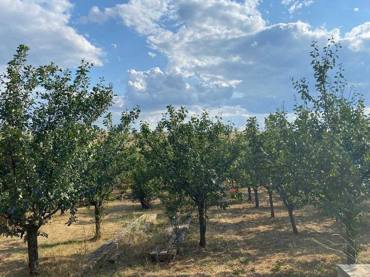 Casă cu 4 camere în Bencecu de Jos