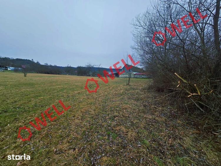 Teren de 5296 mp, în Hoghiz