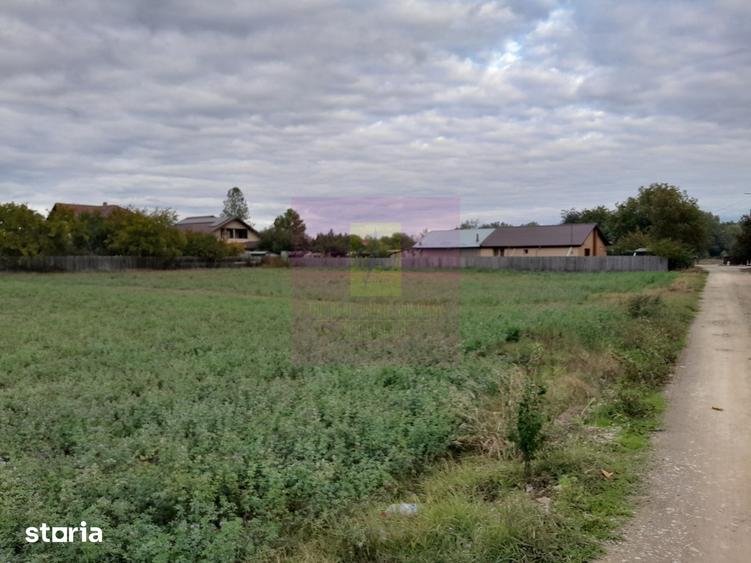 Teren de 2062 mp, în Manasia