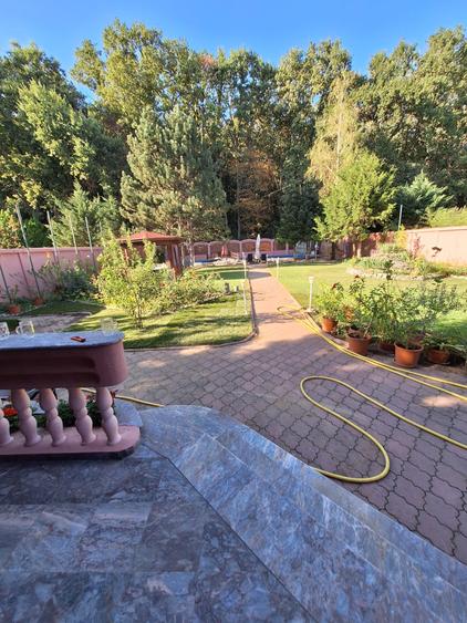 Casă individuală cu 8 camere cu Piscina în Iancu Nicolae